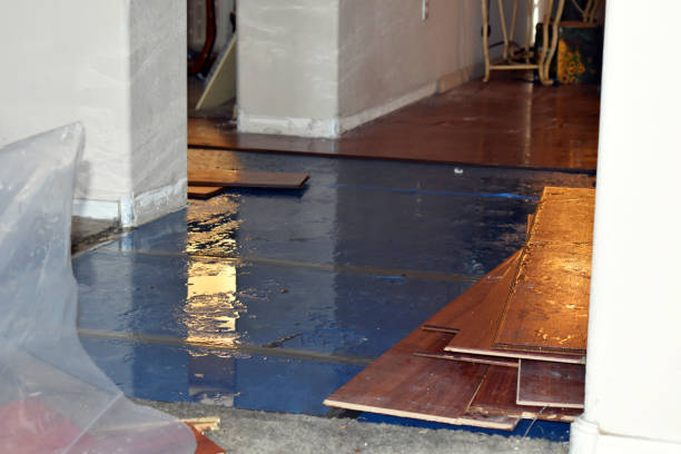 Professional Sewage Cleanup technician working in Knoxville, IA